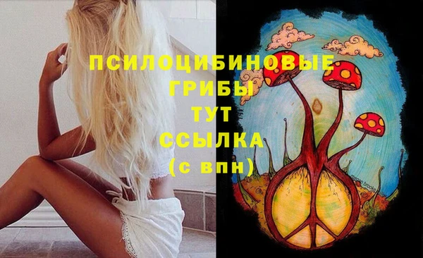 MDMA Premium VHQ Карпинск