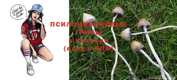 прущие грибы Киренск