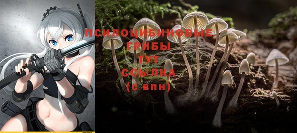 скорость Карталы