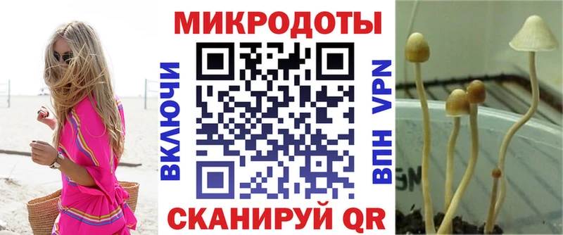 Галлюциногенные грибы Cubensis Рошаль